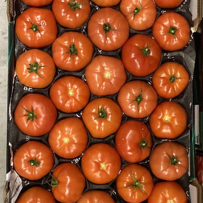 Vlees tomaten per kilo