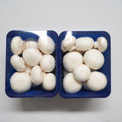 Champignons middel per 500 gram