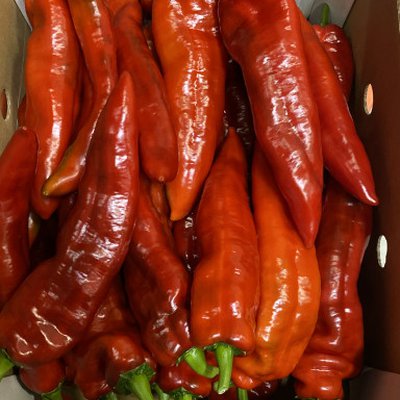 Punt paprika per kg