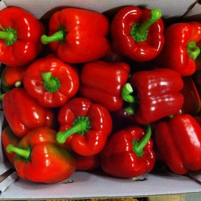 Paprika rood 5 kg (klasse 1) ACTIEPRIJS