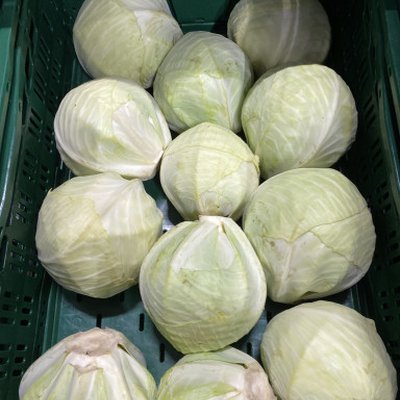 Witte kool (1,5 kg per stuk)