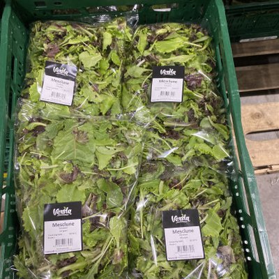 Primavera Mesclun kist à 4 x 250 gram