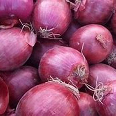 Uien rood per kg