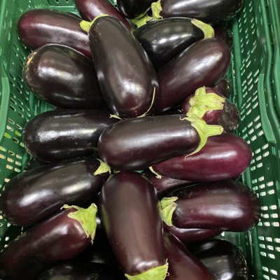 Ugly food AUBERGINE 10 kg