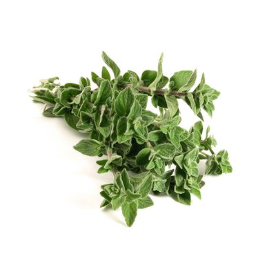 Oregano 20 gram bakje