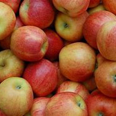 Appels Jonagold 1 kg (MIDDEL)