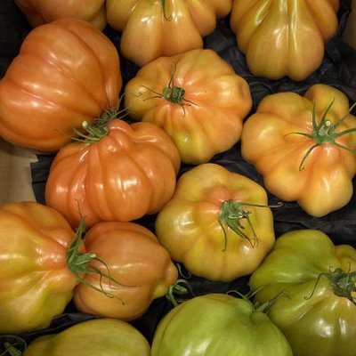 Coeur de Boeuf tomaten