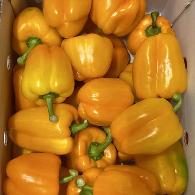 Paprika oranje 5 kg (klasse 1)