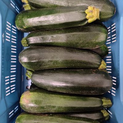 Courgette groen per stuk