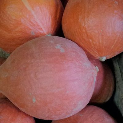 Pompoen ORANJE ECOLOGISCH (± 1 kg)