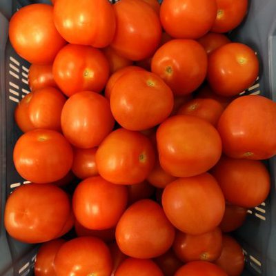 Tomaten los per kilo