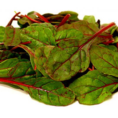 Red Chard / bietensla bakje 125 gram