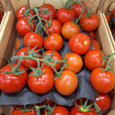 Tomaten tros per kg