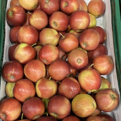 Appels Jonagold (groot 80-90)  5 kg